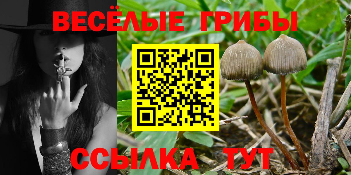 Карталы  Псилоцибиновые грибы MAGIC MUSHROOMS  Вход с VPN 